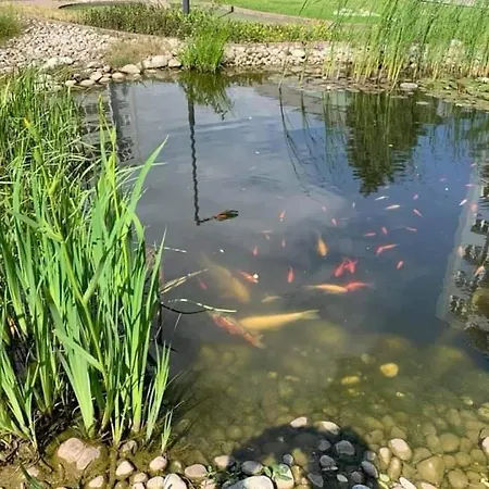 Set Penzión pre hostí Kosice