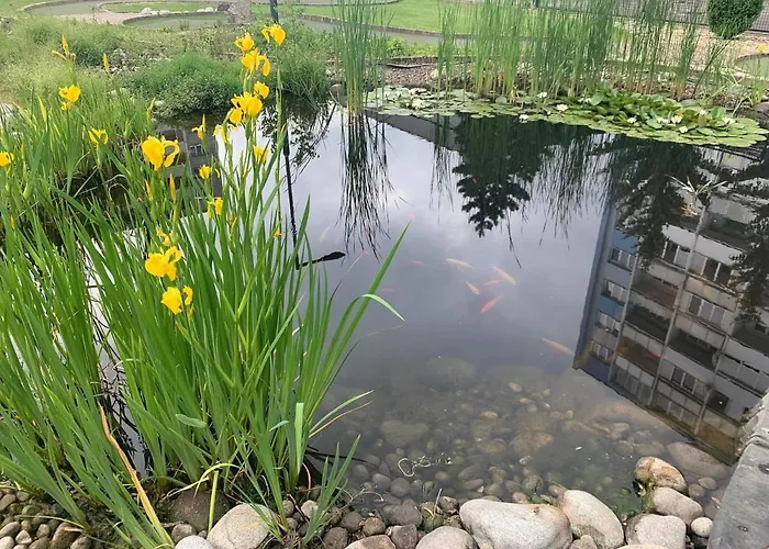 Set 게스트하우스 코시체