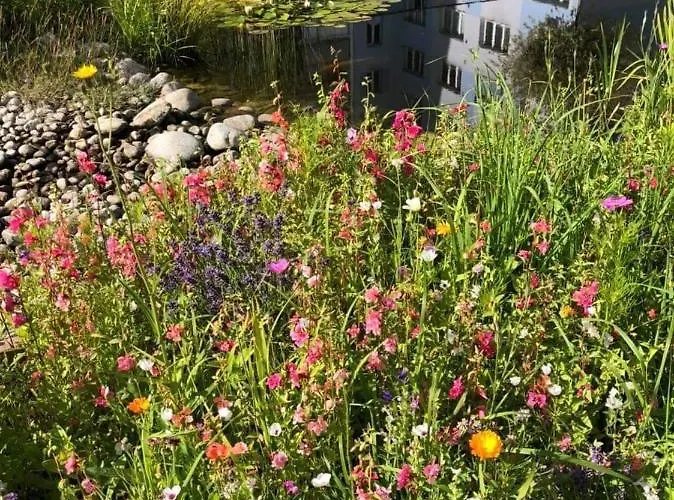 Set Konukevi Kösice