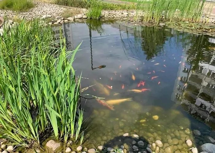 Set Konukevi Kösice